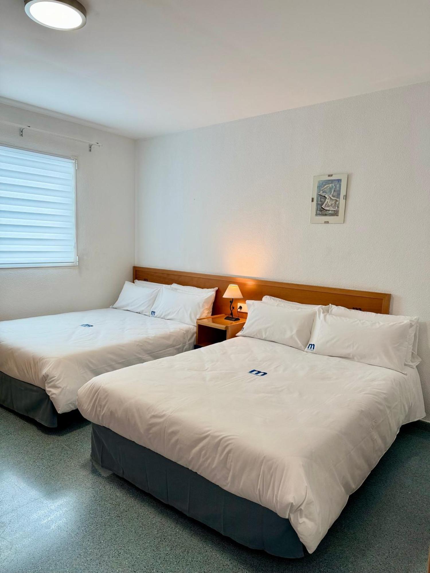Residencia Mediterraneo San Vicente Raspeig Eksteriør billede